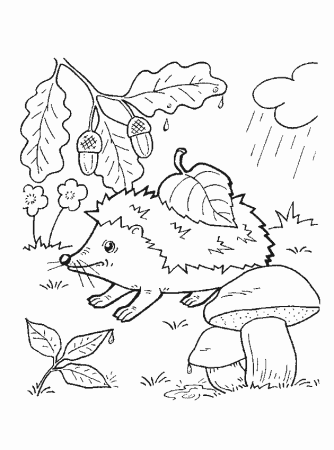 Осень раскраска для детей