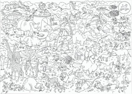 Раскраски большие