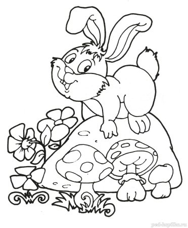 Заяц раскраска