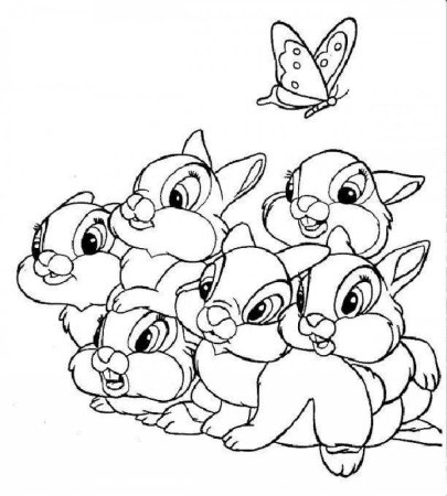 Белочка раскраска для детей