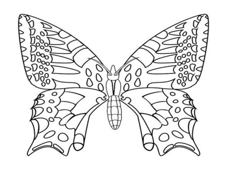 Радужная бабочка раскраска