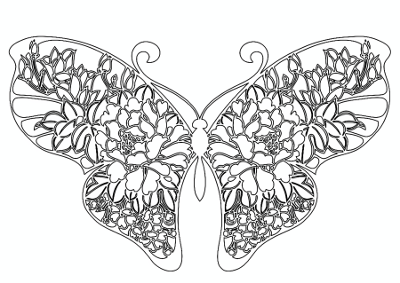 Раскраски бабочки красивые