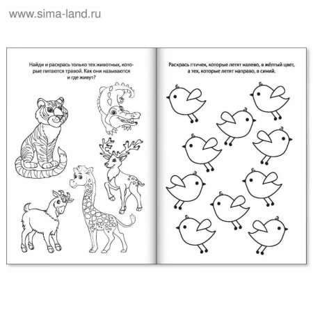 Раскраски с заданиями