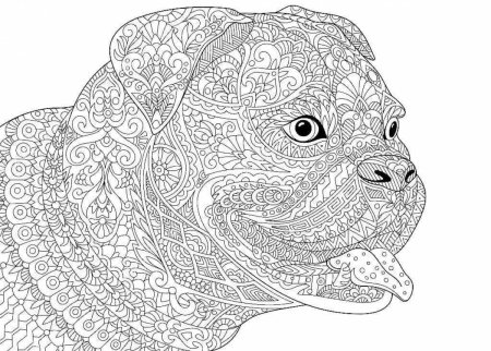 Раскраски животных реалистичные антистресс