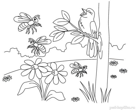 Раскраски для детей на тему Весна