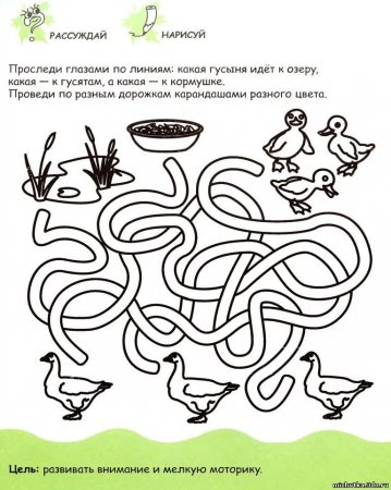 Головоломки для дошкольников