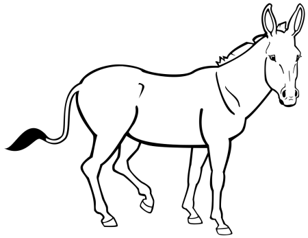 Раскраски домашних животных для детей