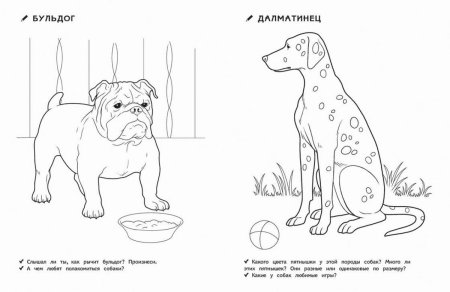 Раскраски домашних питомцев
