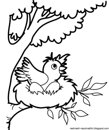 Птичка раскраска