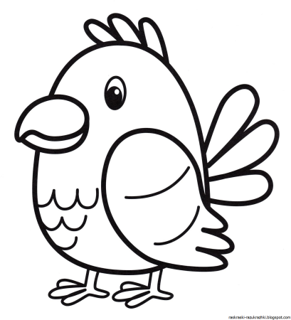 Птичка раскраска для детей