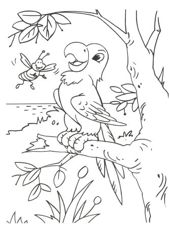 Раскраски птицы для детей 6-7 лет