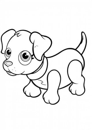 Раскраска "собаки"