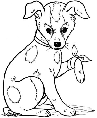 Раскраски для детей природа и животные