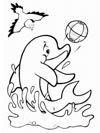 Раскраска Дельфин