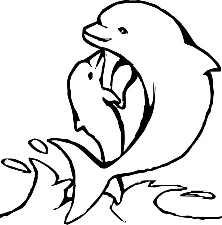 Раскраски красивые дельфины