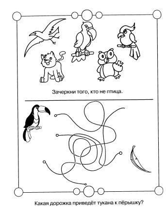 Головоломки для дошкольников