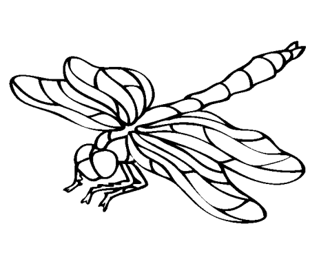 Силуэты насекомых для раскрашивания