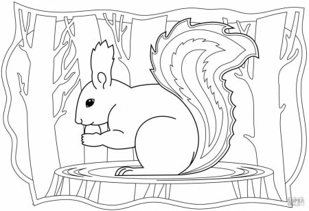 Белка из сказки о царе Салтане раскраска