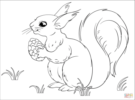 Раскраска Белочка для детей 3-4