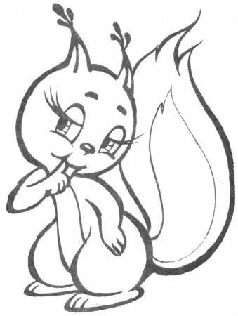 Белка раскраска для детей