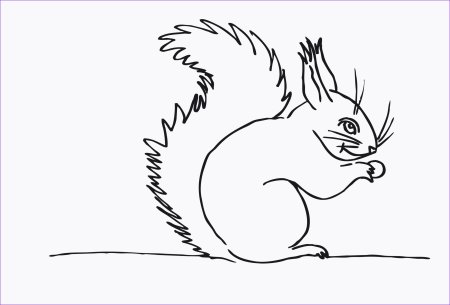 Раскраска Белочка