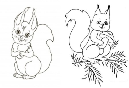 Раскраска Белочка