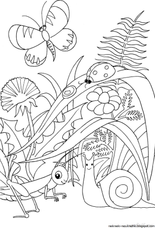 Раскраски лето подготовительная группа