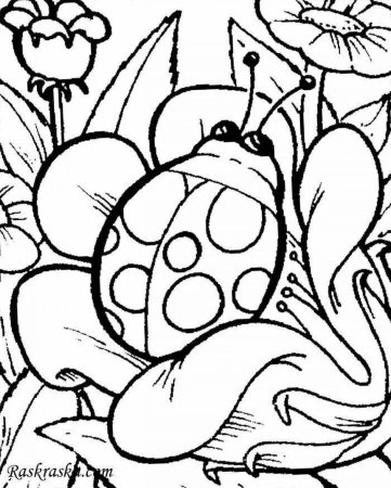 Раскраска насекомые Божья коровка