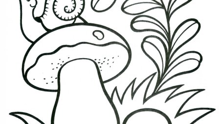 Улитка на грибе раскраска