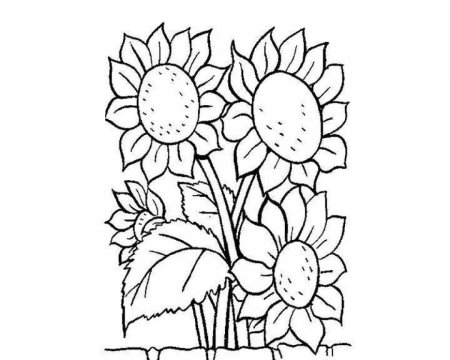 Лето шаблон для рисования