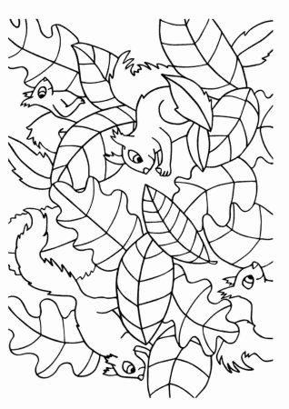 Осень раскраска для детей