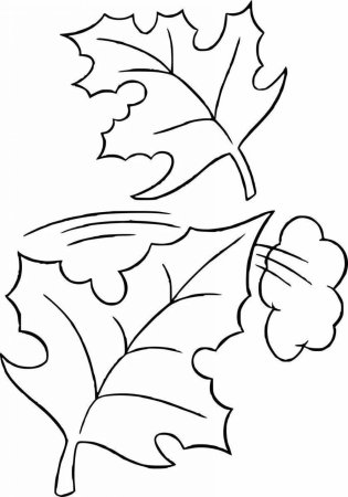 Раскраски осень для детей 5-6 лет