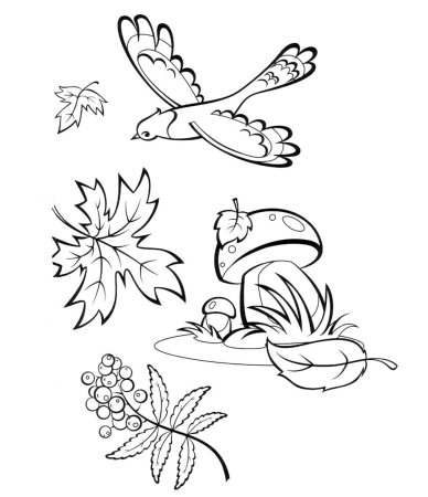 Раскраски осень для детей 5-6 лет