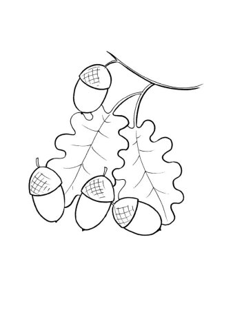 Раскраски осень для детей 5-6 лет