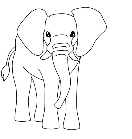 The boys take photo of Elephant раскраска
