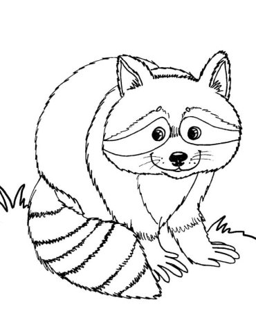 Енот полоскун раскраска