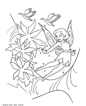 Раскраски для девочек феи Динь Динь