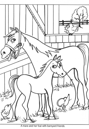 Раскраска лошадь с жеребенком