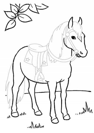 Детские рисунки лошадки