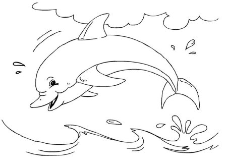 Белобокий Дельфин раскраска