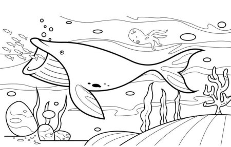 Раскраска кит в море