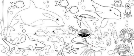 Раскраски подводный мир морей и океанов