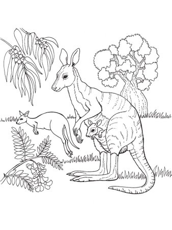 Раскраски животных и зверей