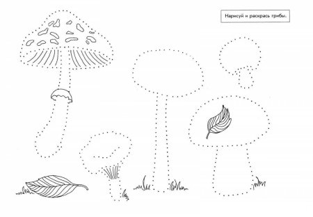 Задания на развитие моторики
