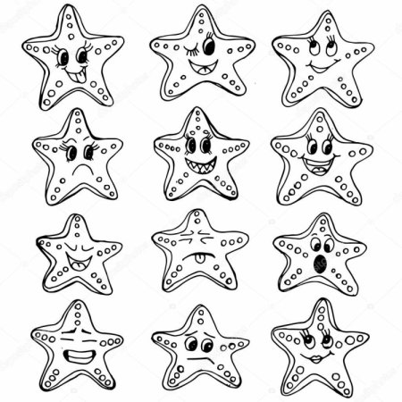 Морская Звездочка раскраска
