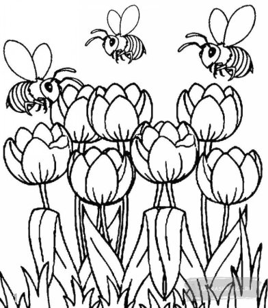 Раскраски цветов