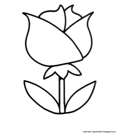 Раскраска цветочек