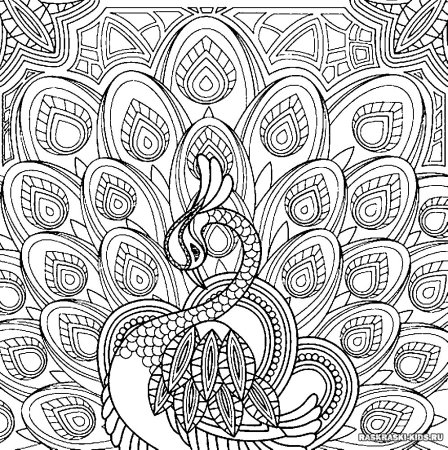 Раскраска антистресс Лисичка