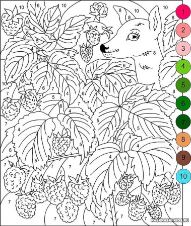 Раскраски по номерам сложные