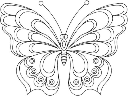 Бабочка трафарет для раскрашивания